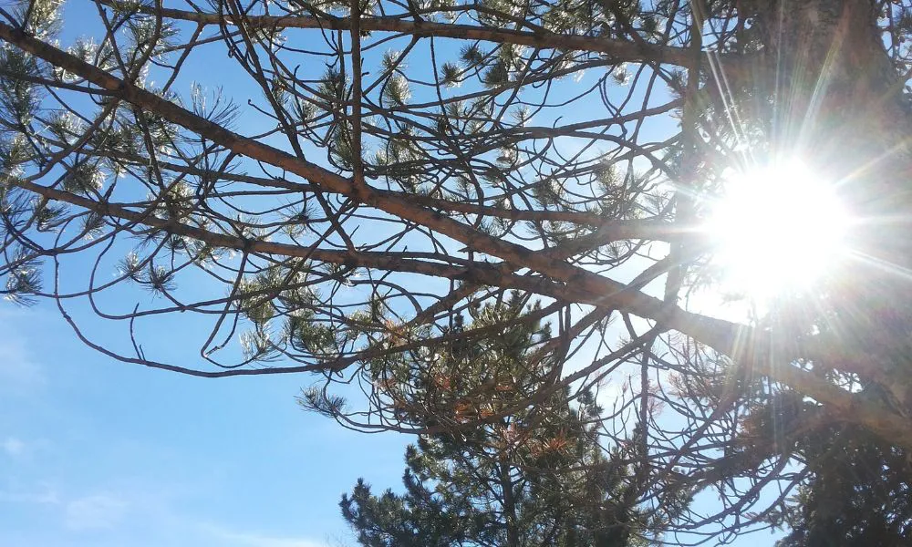 Amanecer con calor imagen ilustrativa fuente Freepik