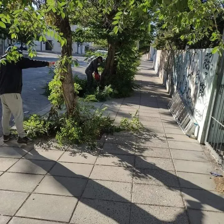 Ordenamiento espacios publicos