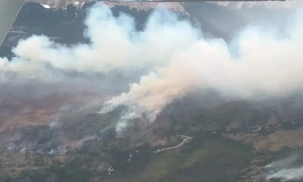 Incendio en Atilio Viglione