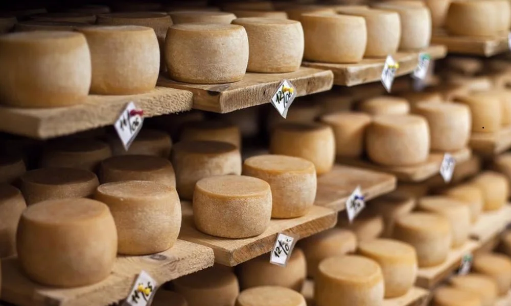 Queso record