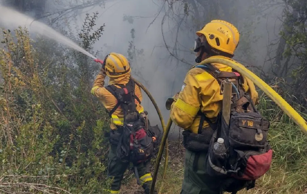 incendio Parque Nacional Lanin