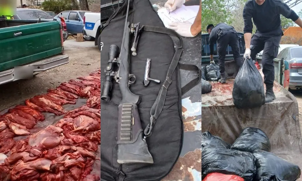 Descubren carne de guanaco en un operativo