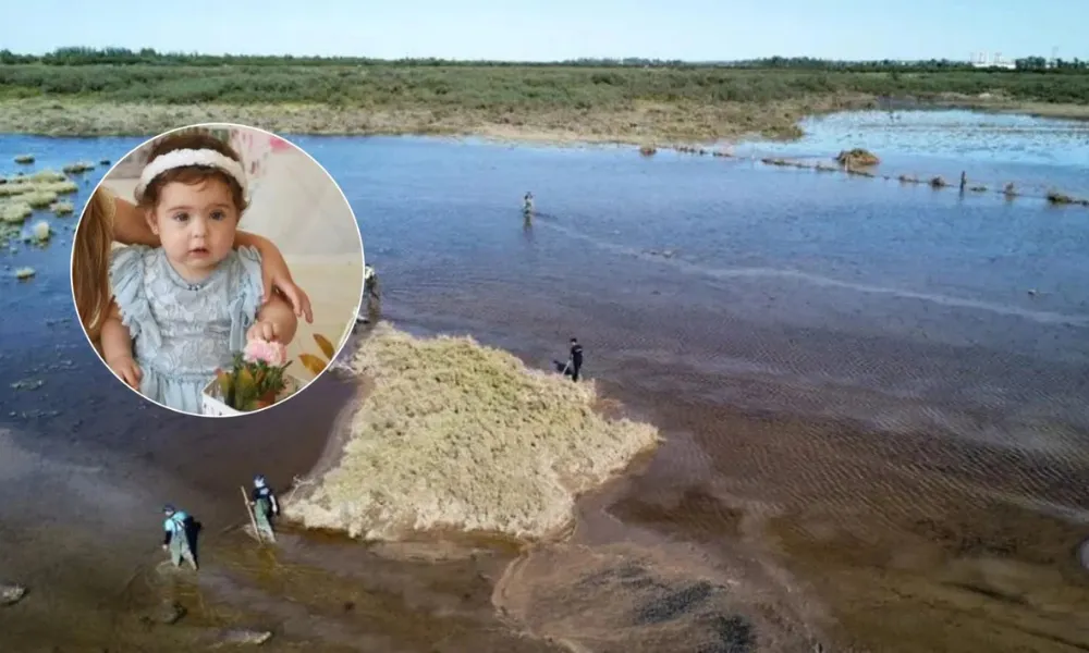 Hallan restos en Bahía Blanca