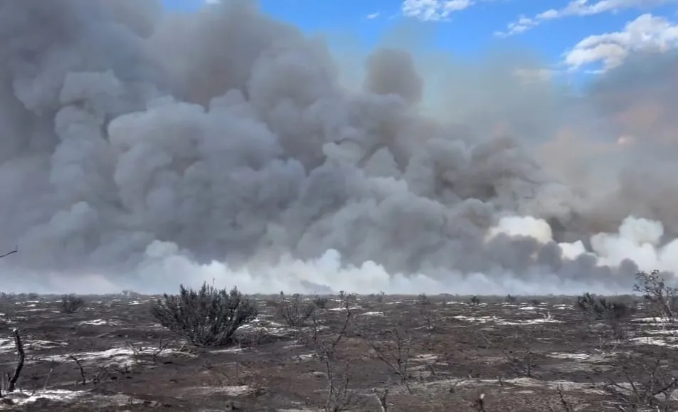 incendio camposs