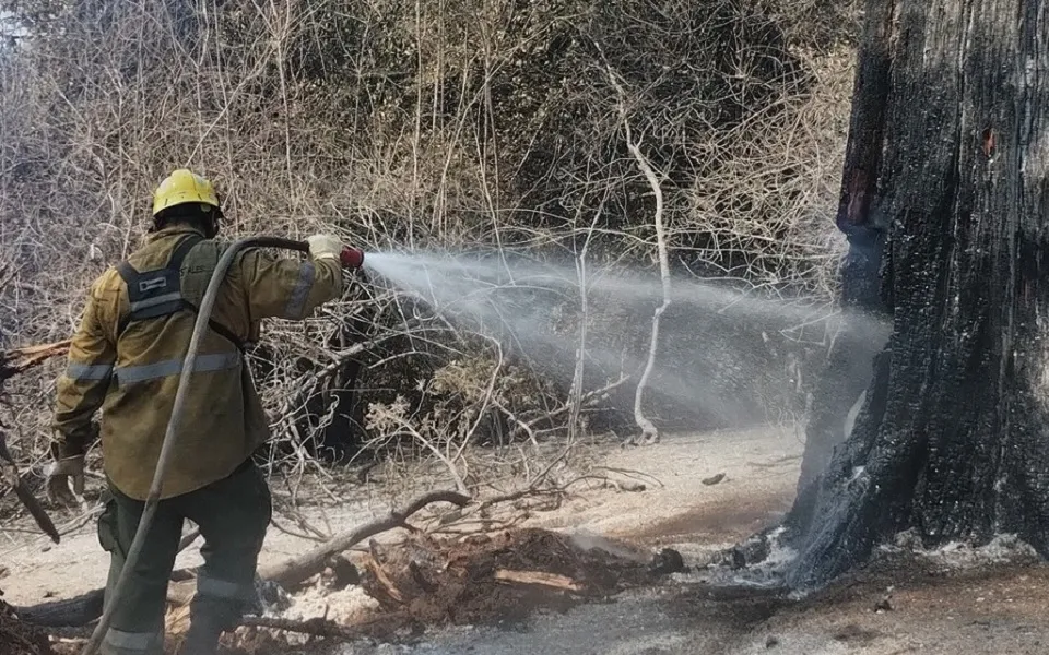 incendio en El Bolson Río Negro