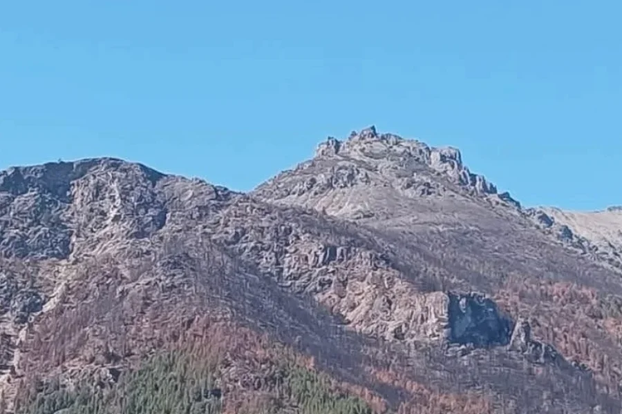 Incendio Puerto Patriada