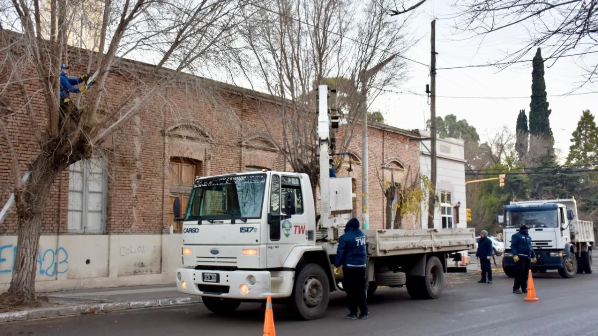 Municipio avanzó con trabajos de poda preventiva y de seguridad sobre calle Rivadavia