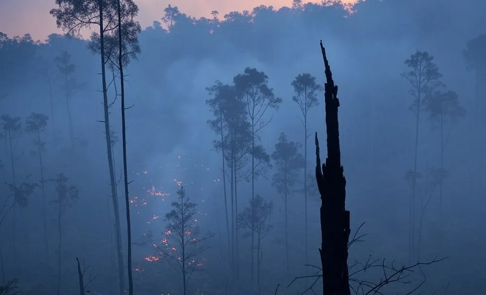 incendio forestal humo Foto Archivo Grok