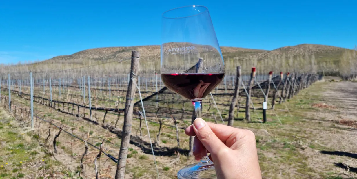 Malbec