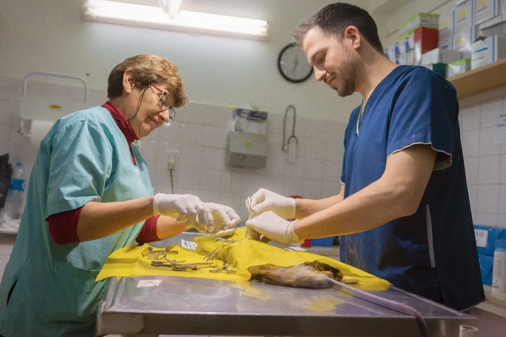 Veterinaria en tu barrio