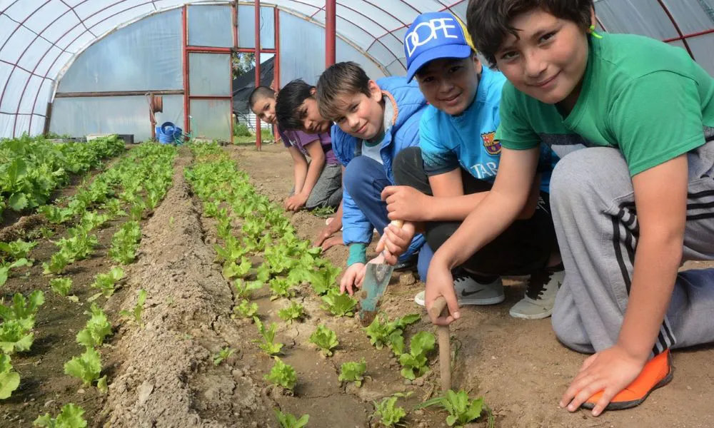 Chubut lanza un bachillerato orientado en energía y sustentabilidad