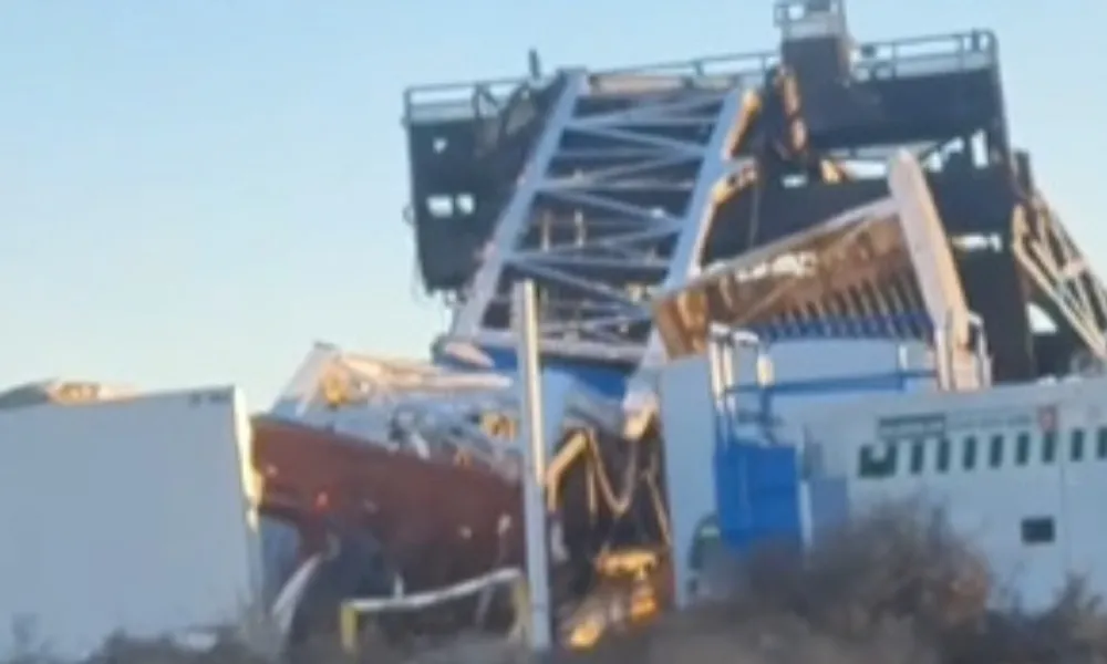 Torre Vaca Muerta