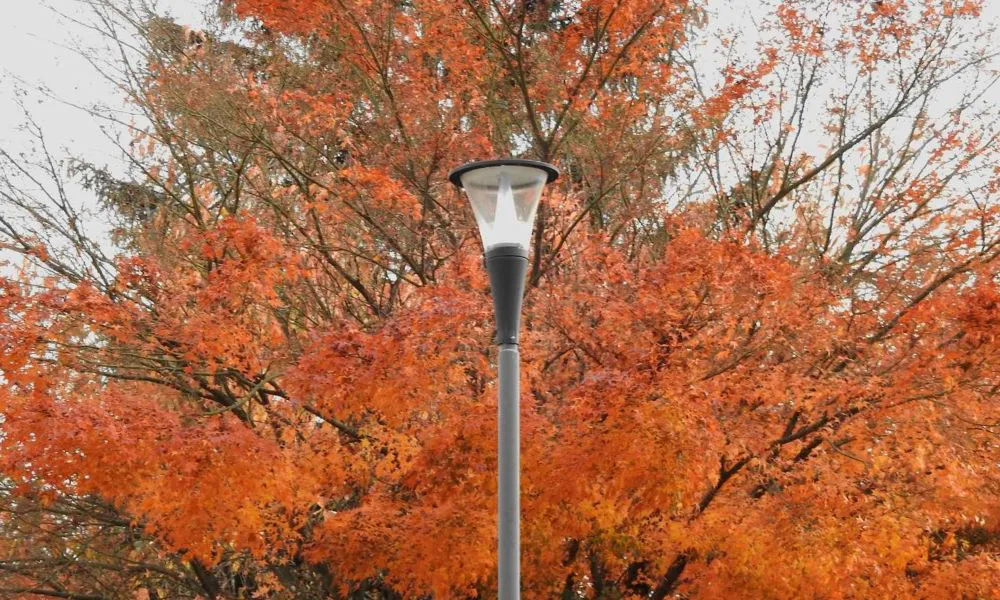 Amanecer en Puerto MAdryn Imagen de Fotero Patagónico