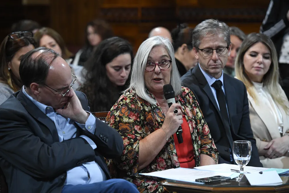 Terenzi en la comisión de presupuesto.