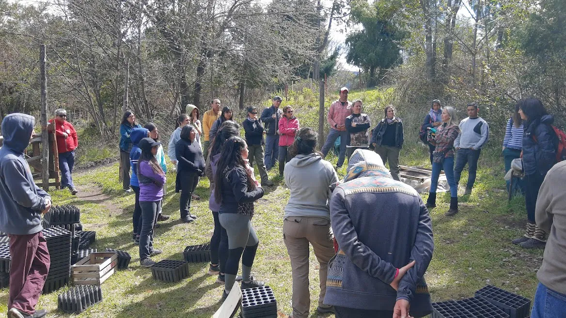 Docentes se Capacitan en la Protección del Bosque con el Apoyo del Gobierno de la Provincia de Chubut