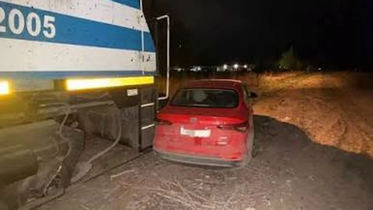 Un automovil colisiono contra el tren patagonico