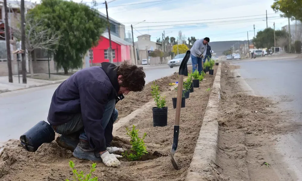 Espacios verdes en Madryn