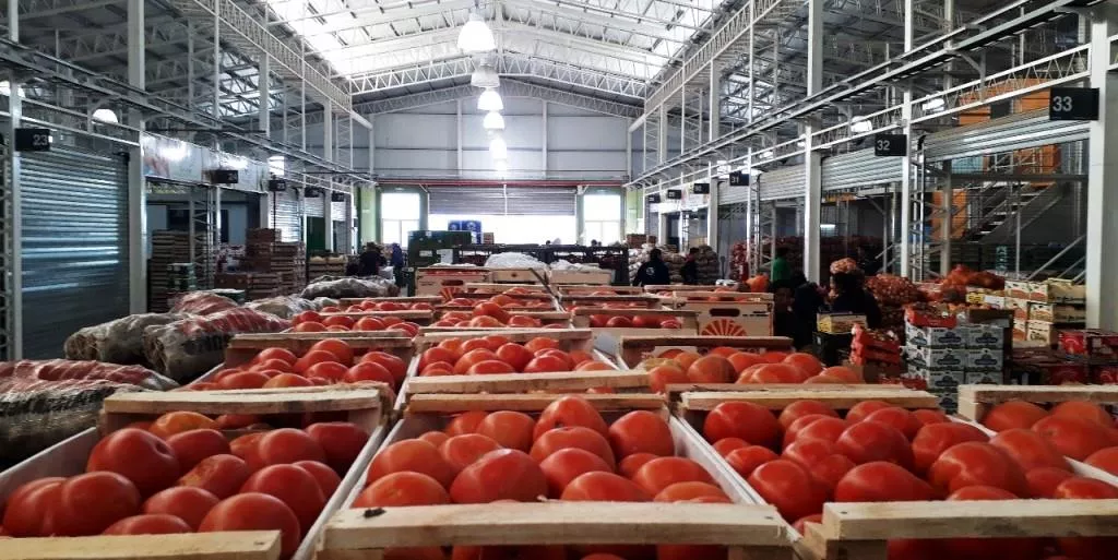 Mercado Concentrador Chubut
