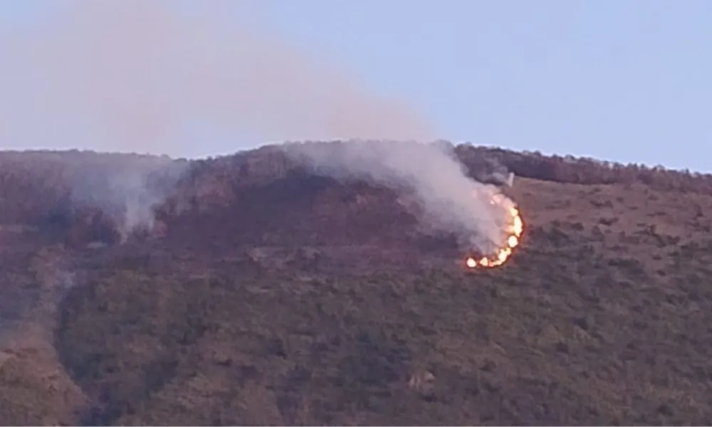 Incendio en Cerro Montura