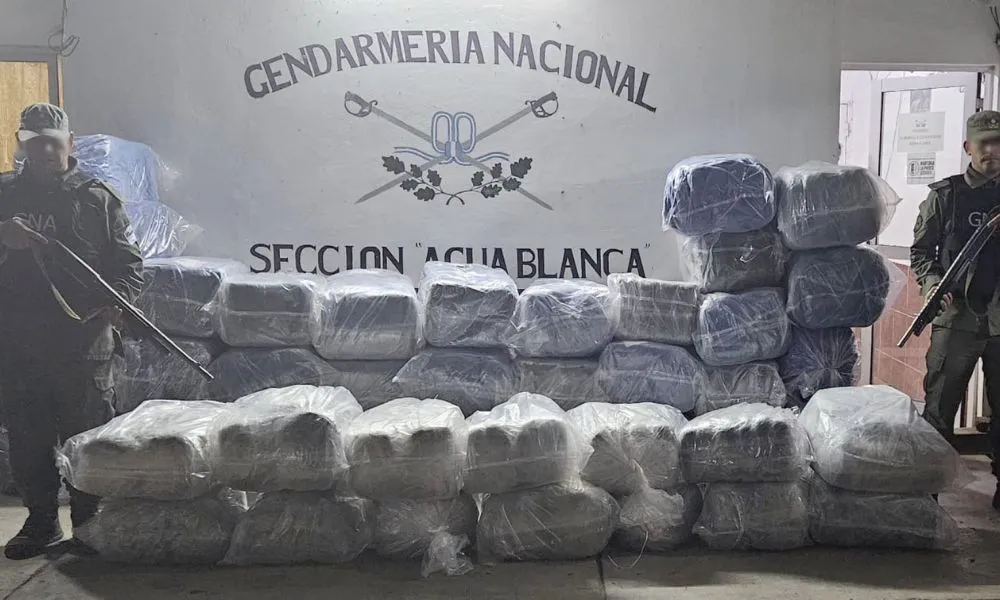 Hallaron casi 850 kilos de marihuana y hojas de coca