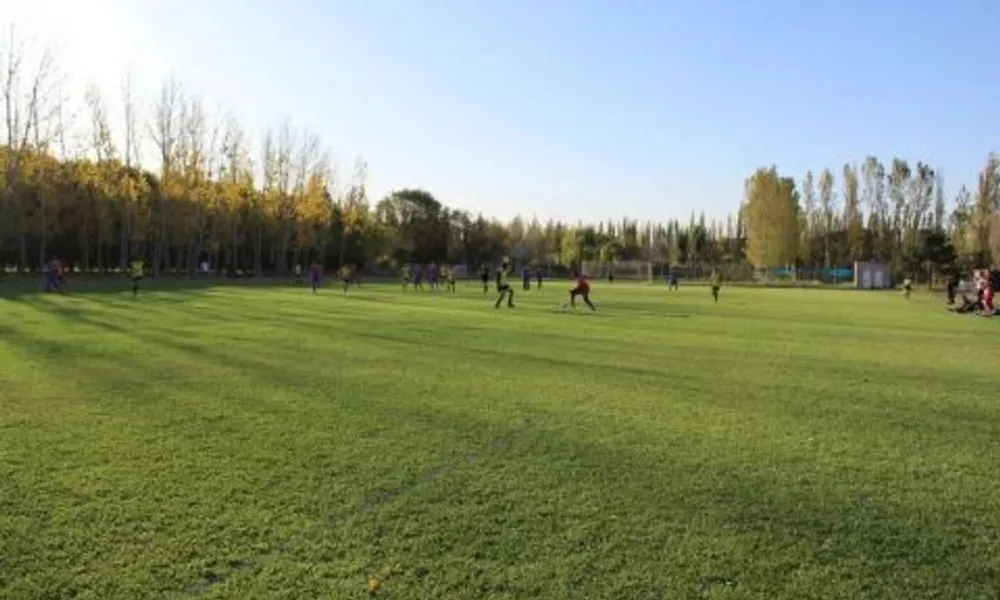 Cancha de la Liga Don Pedro