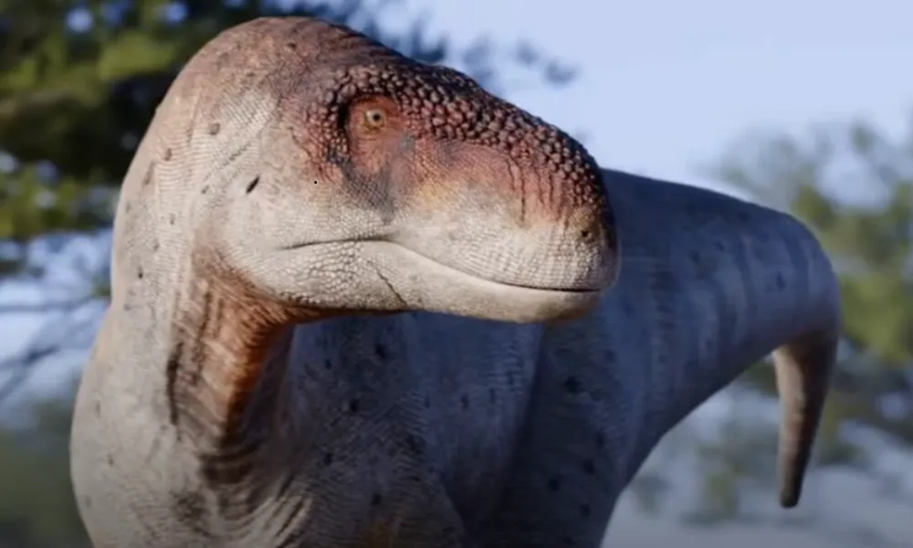 Fósiles en amazónia