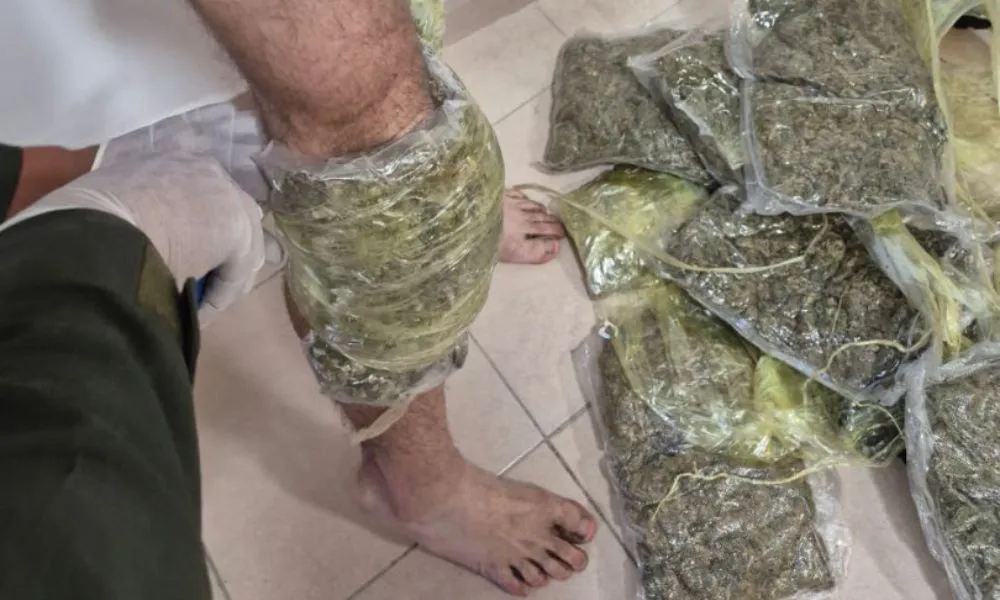Pasajero ocultaba marihuana adherida al cuerpo