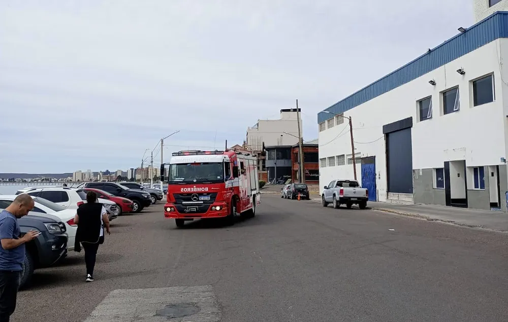 planta pesquera madryn