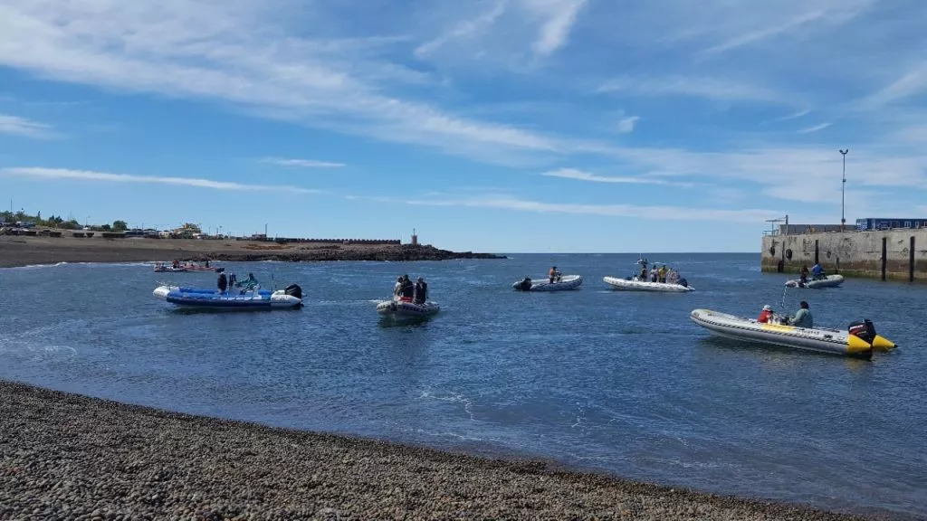 CAMARONES Y SU FIESTA NACIONAL DEL SALMÓN