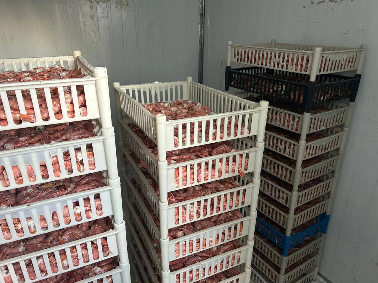 Imagen de WhatsApp 2024-03-19 a las 07.11.34_c48e0893