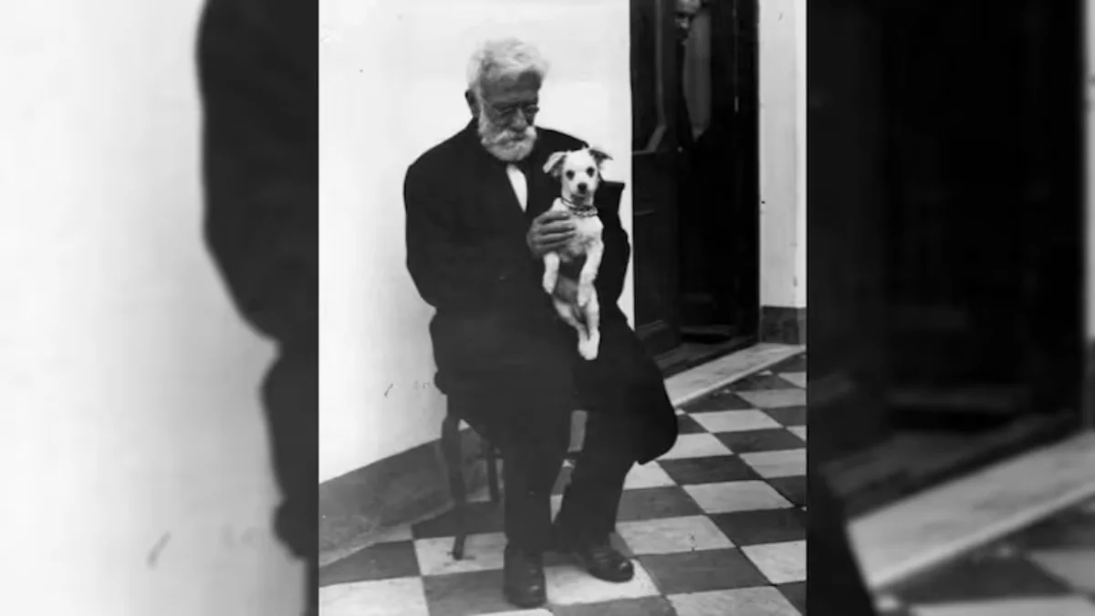 Día del animal-2