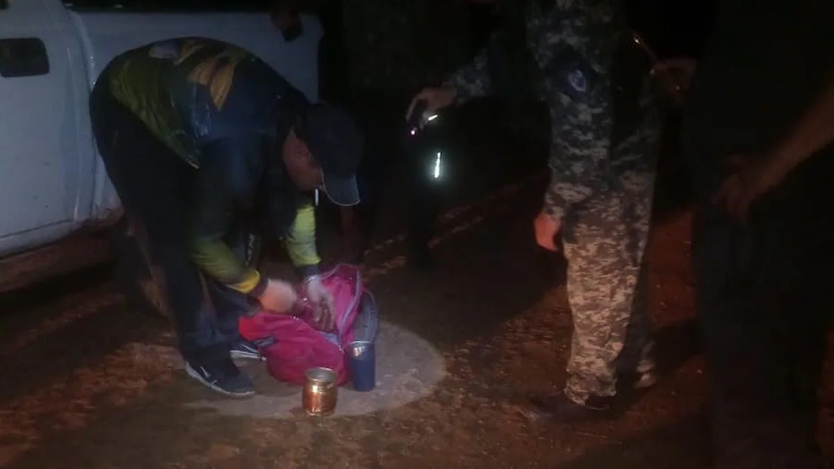 Dos hombres fueron sorprendidos dentro de una estancia