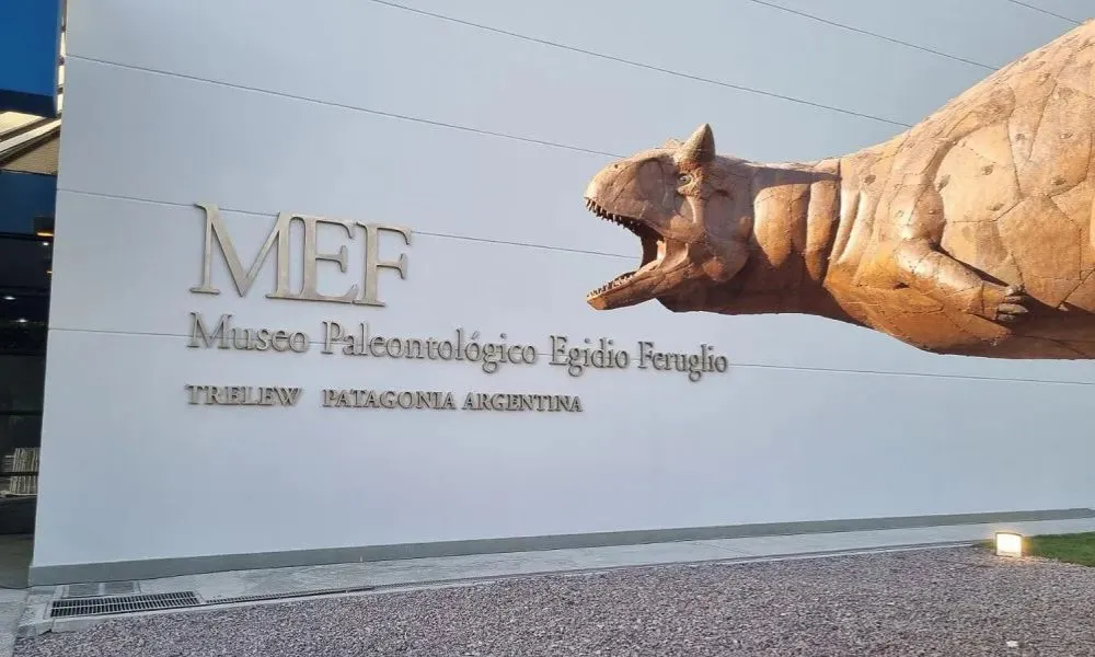 mef trelew