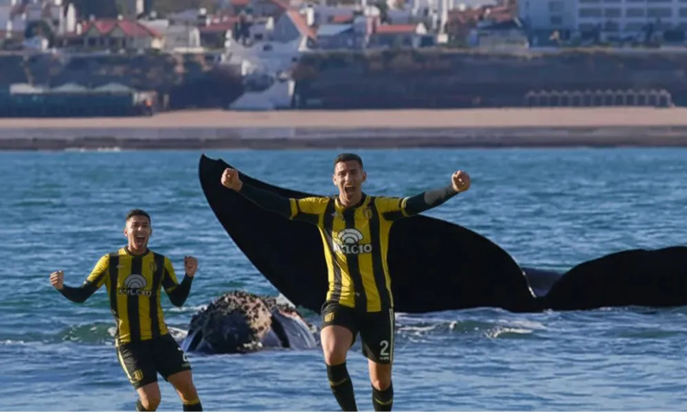 Turismo deportivo en Puerto Madryn