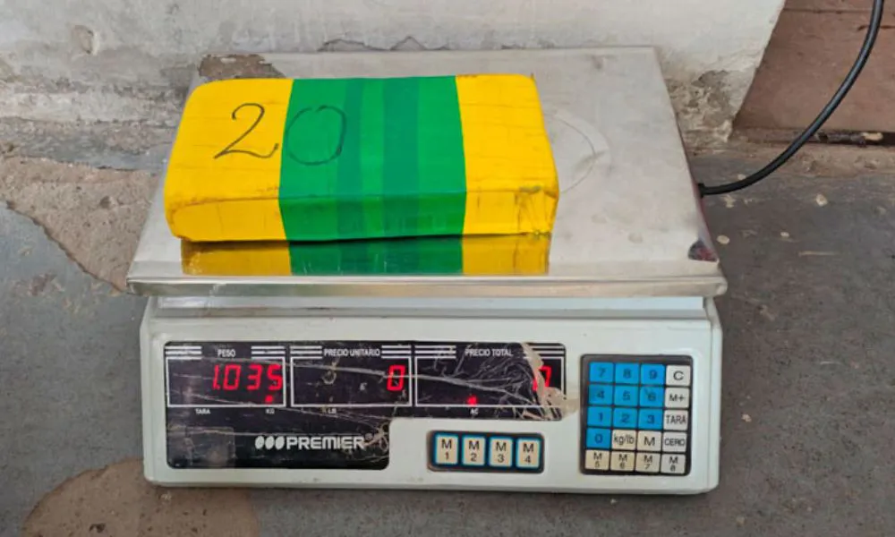 Ladrillos de cocaína incautados