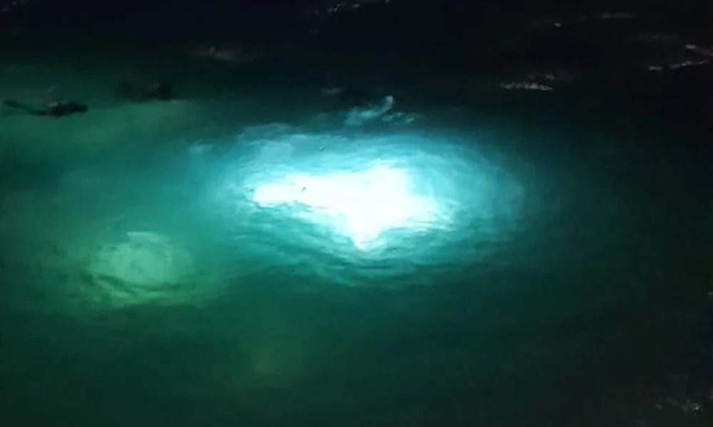 Vía Crucis Submarino 2026 7