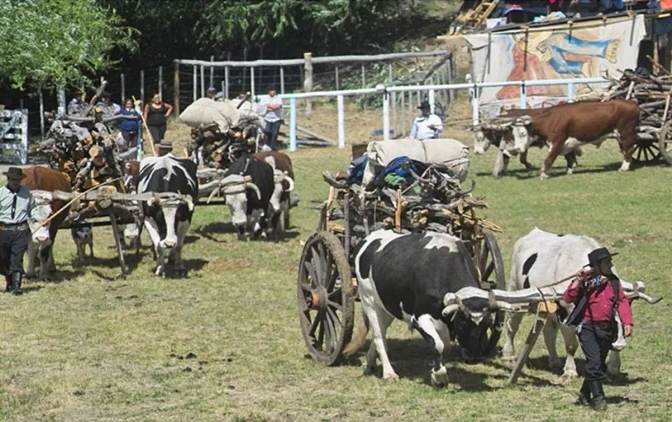 Fiesta del carrero