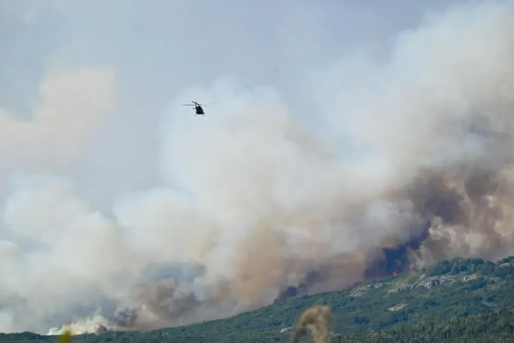 Incendio en el Parque Nacional Los Alerces