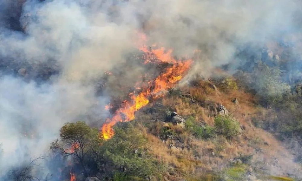 Incendio en Traslasierra. Foto: Cadena 3.