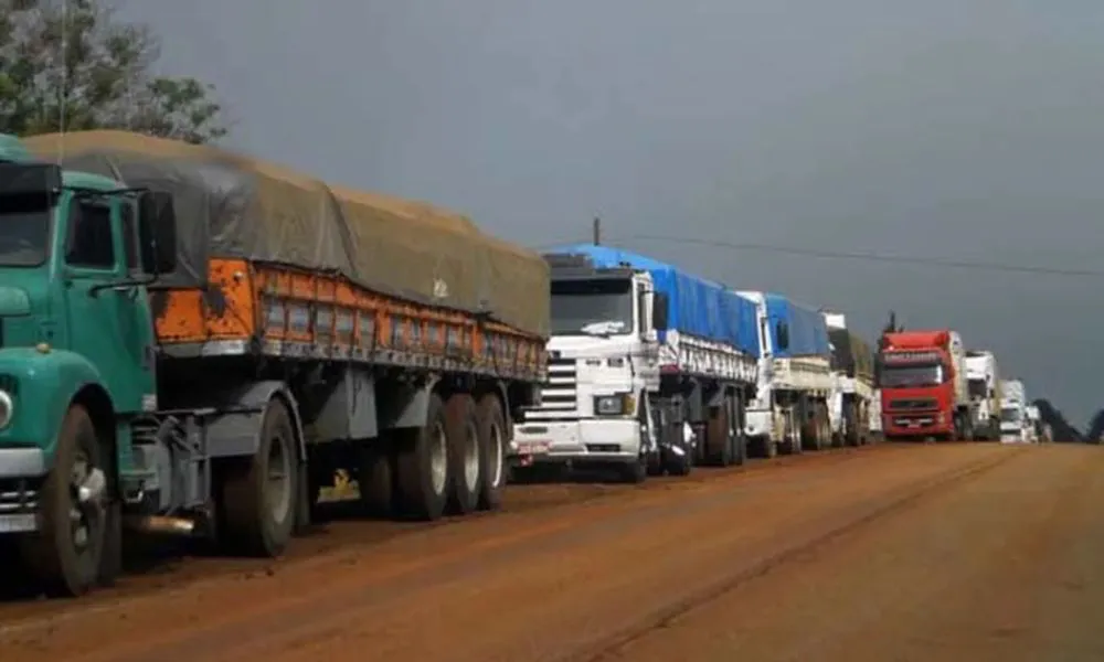 Camiones en Misiones. Foto: iProfesional