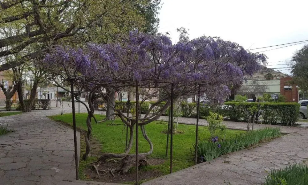 gaiman primavera