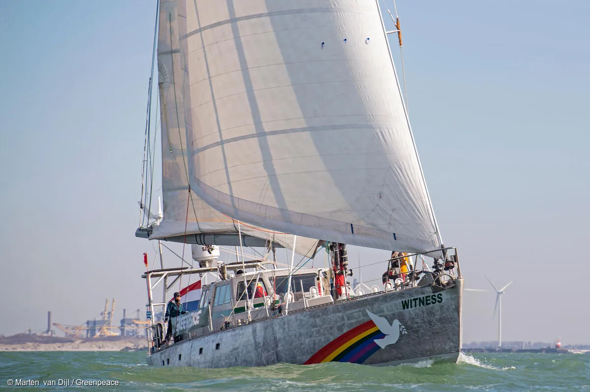 Barco Witness Greenpeace