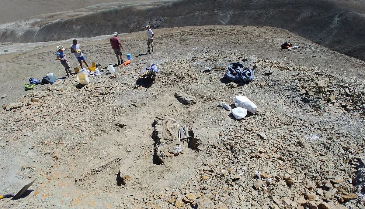 Lugar del hallazgo a 200 km al norte de Trelew.