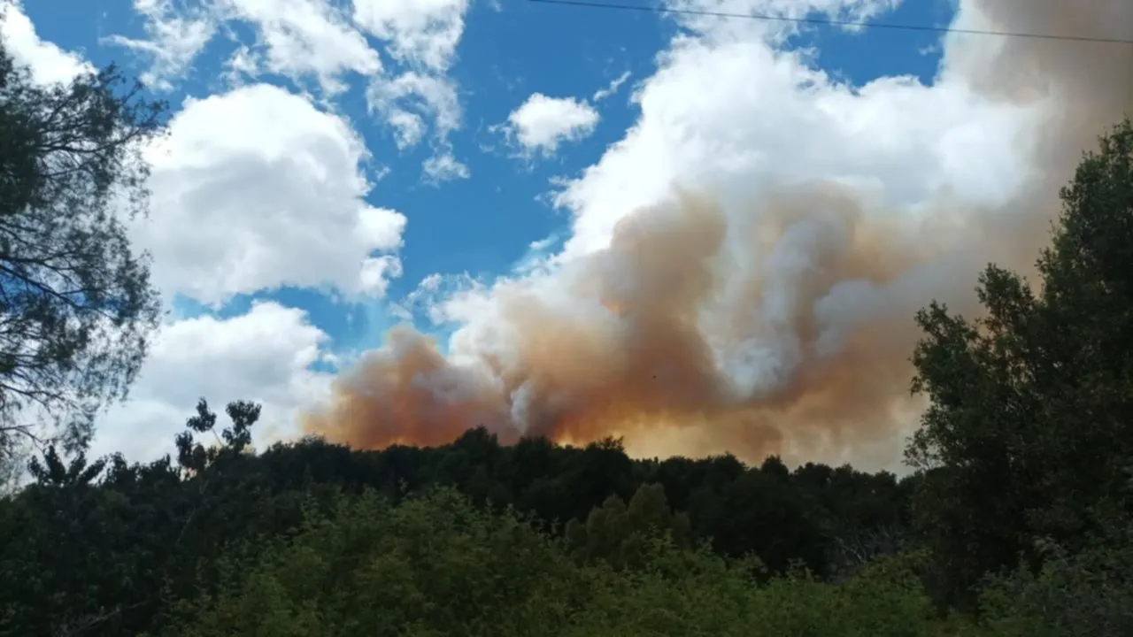 Incendio en Los Alerces. Red43