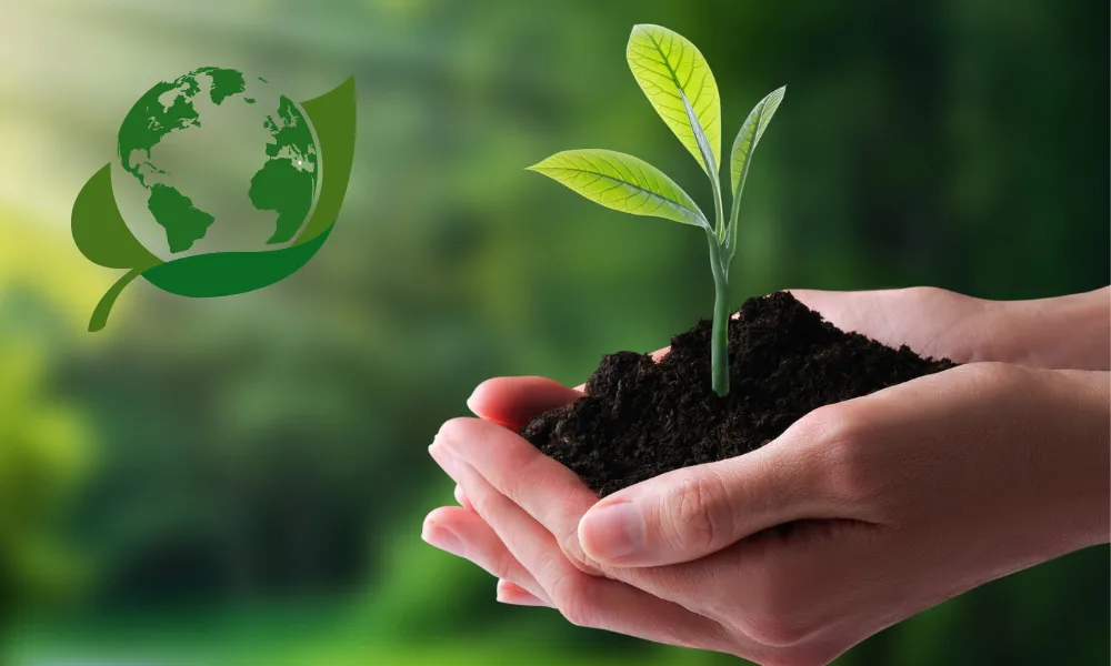 medio ambiente