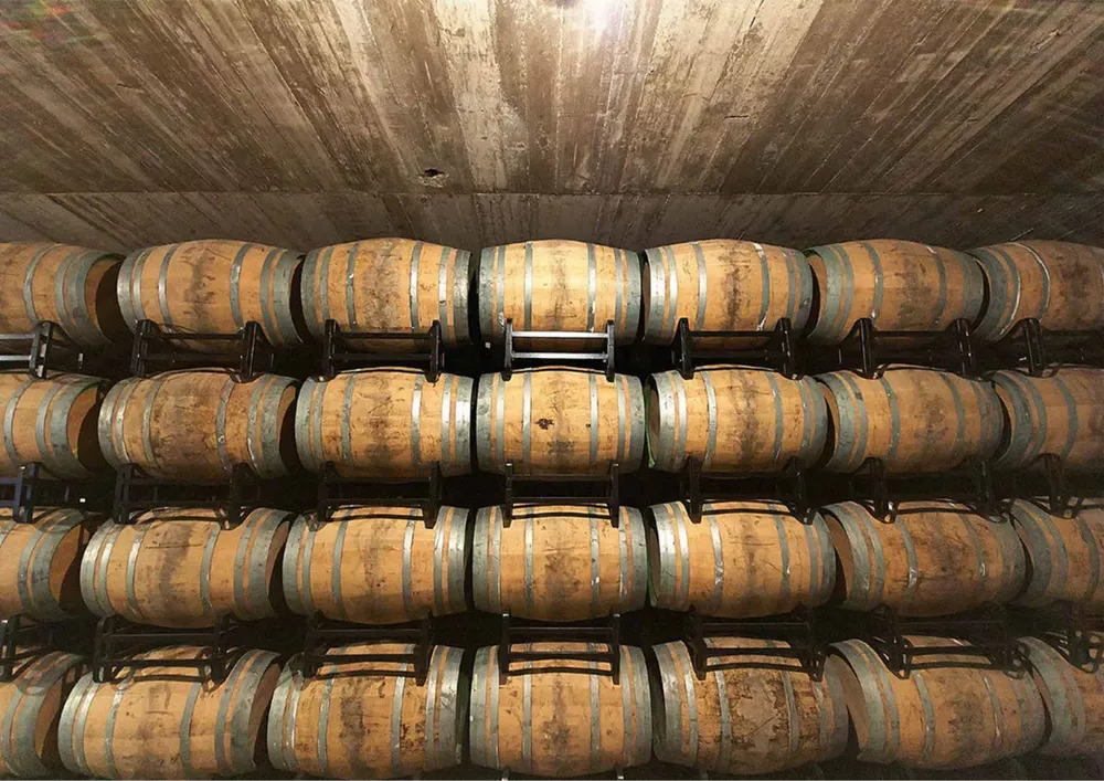 Menos exportaciones de vino argentino en junio de 2024