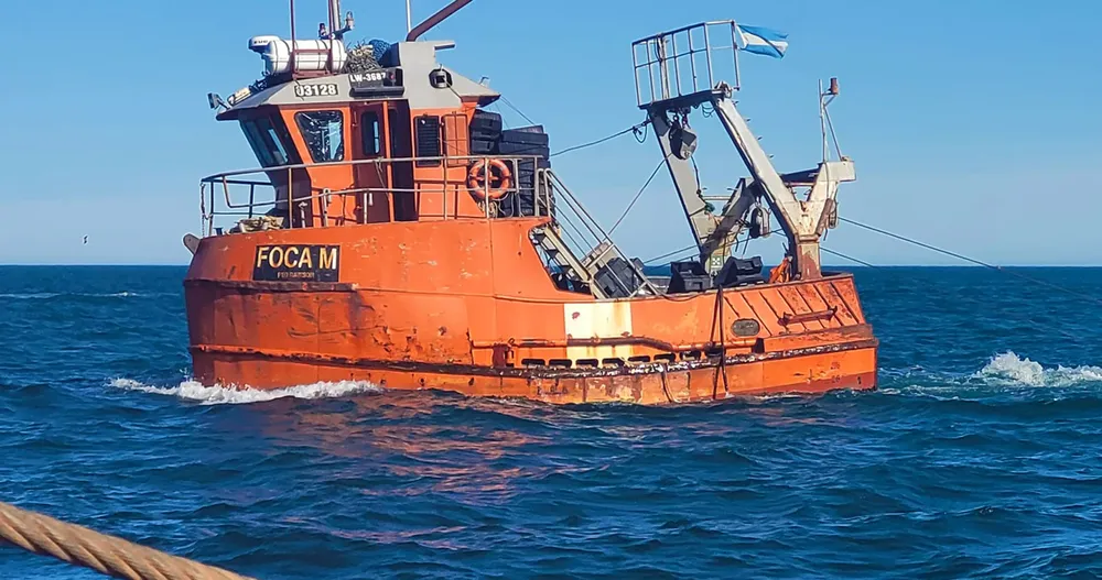 barco foca