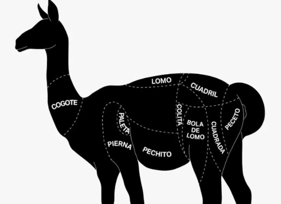 cortes guanaco