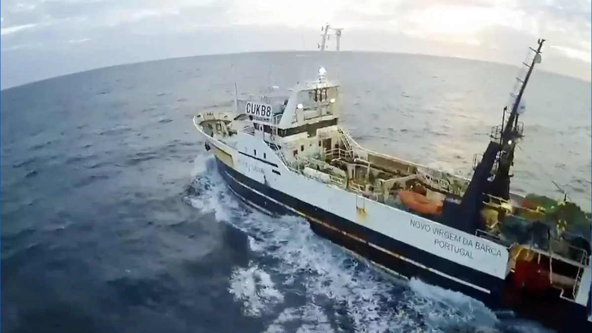Novo Virgem Da Barca FOTO Parte de Pesca