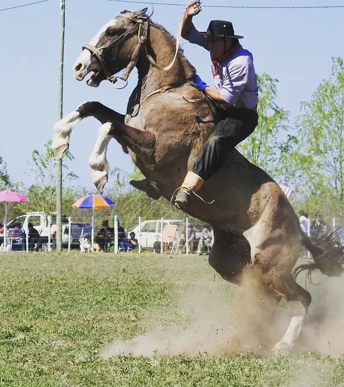 Adrián Fernández 2.